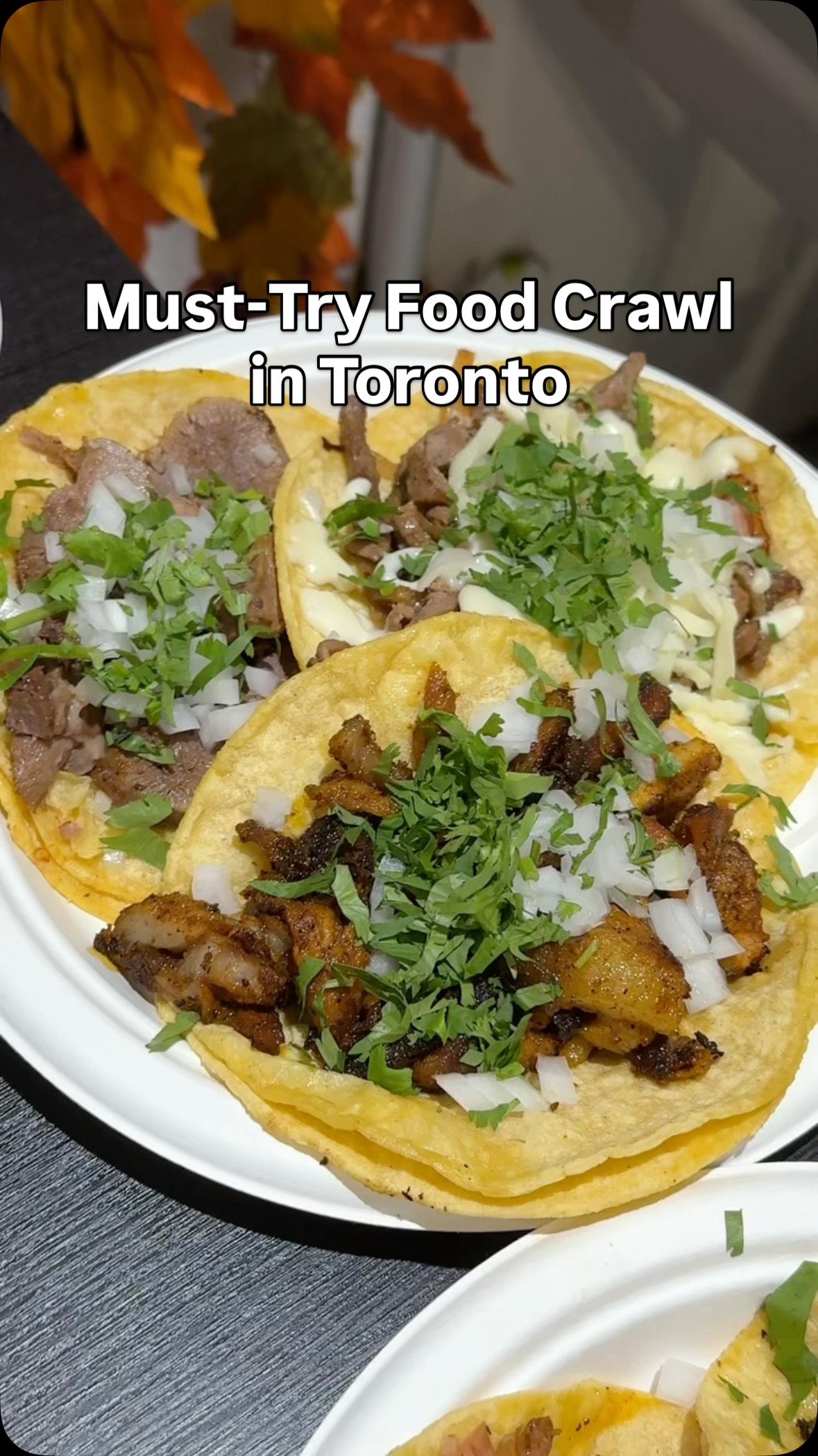 Taco/food reel cover